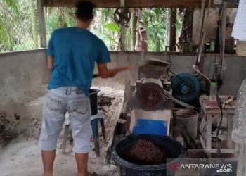 BUMDes penggerak ekonomi masyarakat desa di Batanghari