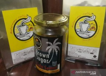 Sejumlah desa di Garut kembangkan kopi sebagai komoditas unggulan