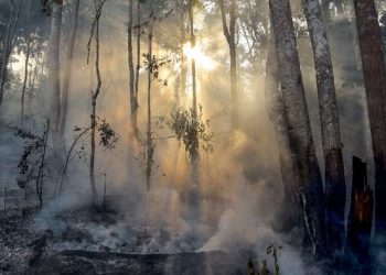 BPBD Prioritaskan 6 dari 10 Daerah Rawan Karhutla di Sumsel