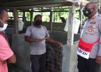 Sinergitas Polri – Petani di Mimika : Bikin Hasil Pertanian Meningkat