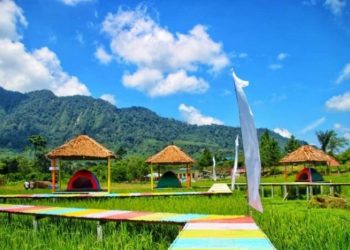 Kabupaten Langkat perkenalkan Wisata Tidur Sawah