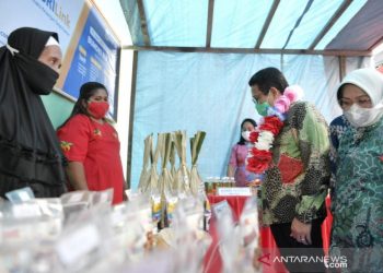 Legislator minta pemerintah tingkatkan kapasitas SDM BUMDes