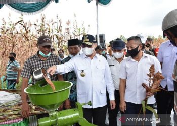 Mengubah bekas tambang timah jadi lahan produktif