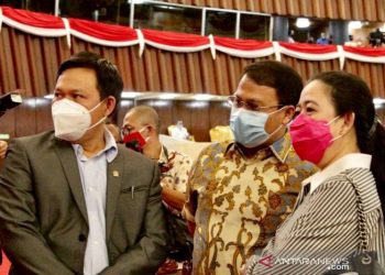 Wakil ketua DPD dorong RUU BUMDes dan RUU Kepulauan disahkan tahun ini