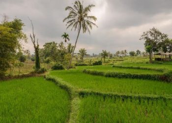 Desa Tetebatu NTB menjadi wakil Indonesia “Desa Wisata Terbaik” di Dunia