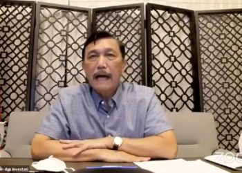 Luhut minta 8% dana desa dialokasikan untuk alat tes Covid-19