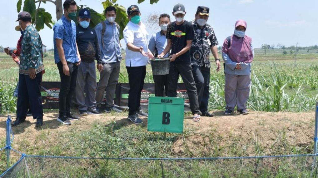 Gus Halim Keliling Desa Blora, Tinjau Potensi BUMDes dan BUMDes Bersama