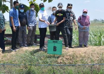 Gus Halim Keliling Desa Blora, Tinjau Potensi BUMDes dan BUMDes Bersama