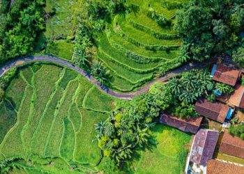 Sinergi untuk Desa Tangguh dan Tumbuh