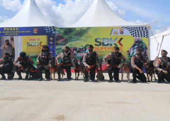 Jangang Coba-Coba Mencuri Saat Event K9 Polisi Bisa Melacak Barang yang Hilang