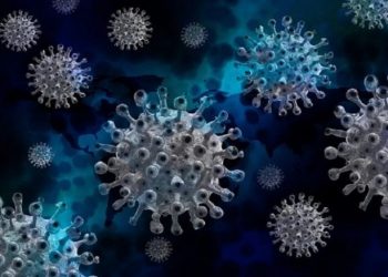 Muncul Varian Baru Omicron, Begini Gerak Cepat Polri dan Pemerintah Atasi Hal Itu